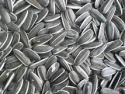 best quality sunflower seeds human feed - product's photo