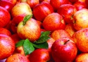 best fresh apple fruit  - product's photo