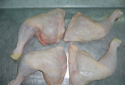 perfect frozen chicken leg  - product's photo