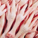 certified halal frozen chicken feet - product's photo