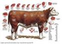 frozen beef hind quarter cuts - product's photo