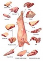 frozen beef tendons - product's photo