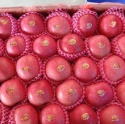  china fuji apple price - product's photo
