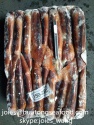 frozen illex squid illex argentines seafrozen bqf  - product's photo