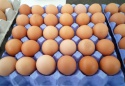 fresh brown eggs - product's photo