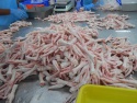 processed frozen chicken feet/paws for sale. / frozen chicken feet/paw - product's photo