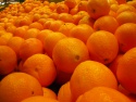 sweet fresh mandarin orange/fresh orange, naval orange, valencia orang - product's photo