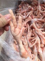grade a chicken feet - product's photo