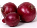 fresh onion high quality - product's photo