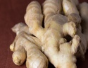 best quality fresh ginger and garlic ready for sale - product's photo