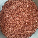 peanut kernels - product's photo