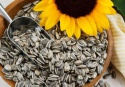 premium quality sunflower kernels for sale - product's photo