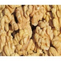 dried walnuts in shell/walnuts kernels - product's photo