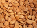 apricot kernels - product's photo