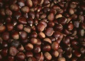 fresh chestnuts - product's photo
