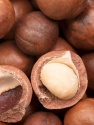 wholesale price macadamias nuts - product's photo