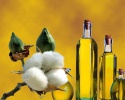 refined cottonseed oil - product's photo