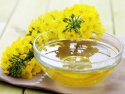 refined canola/rapeseed oil - product's photo