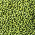 high quality new crop bulk green mung beans - product's photo