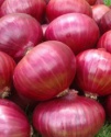 red onion - product's photo