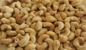 cashew nuts (w240, w320, w450) - product's photo