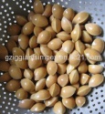 cheap price top quality premium ginkgo nuts - product's photo