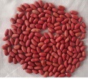 peanuts with good price - product's photo