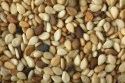 sesame seed - product's photo