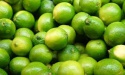 fresh green lemon	 - product's photo