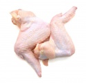 halal frozen chicken wing 3 joints  - product's photo
