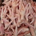 frozen grade a chicken paw - product's photo