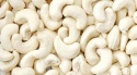 cashew nuts for sale  - product's photo