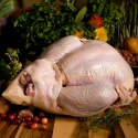 buy halal frozen chicken online from brf brazil  - product's photo