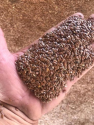flax seeds cif tianjin china - product's photo