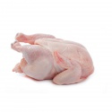 halal frozen whole chicken and parts for sale - product's photo