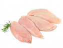 wholesale chicken breast distributors -  frozen halal breast suppliers - product's photo