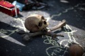 black magic death spells that work immediately overnight +27836633417 - product's photo