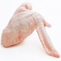 halal certified frozen chicken legs quater for sale - product's photo