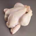 high quality certified halal frozen whole chicken - product's photo