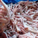 grade / b halal frozen whole chicken / gizzards / thighs / feet / paws - product's photo