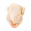 grade "a" halal frozen whole chicken - product's photo