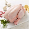 halal frozen processed chicken feet / paws - product's photo