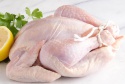 frozen chicken body/frozen chicken labs/quality chicken parts - product's photo