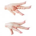 halal frozen chicken feet / frozen chicken paws / fresh chicken wings  - product's photo