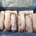 frozen pork meat pork front feet - product's photo