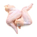 halal brazilan frozen whole chicken / chicken feet / wings  - product's photo
