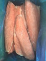 fresh frozen chum/keta salmon fish - product's photo