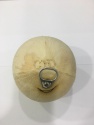 fresh young coconut easy open coconut with the lid  - product's photo