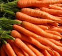 fresh carrots for sale - product's photo