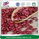kidney sweet red bean - product's photo